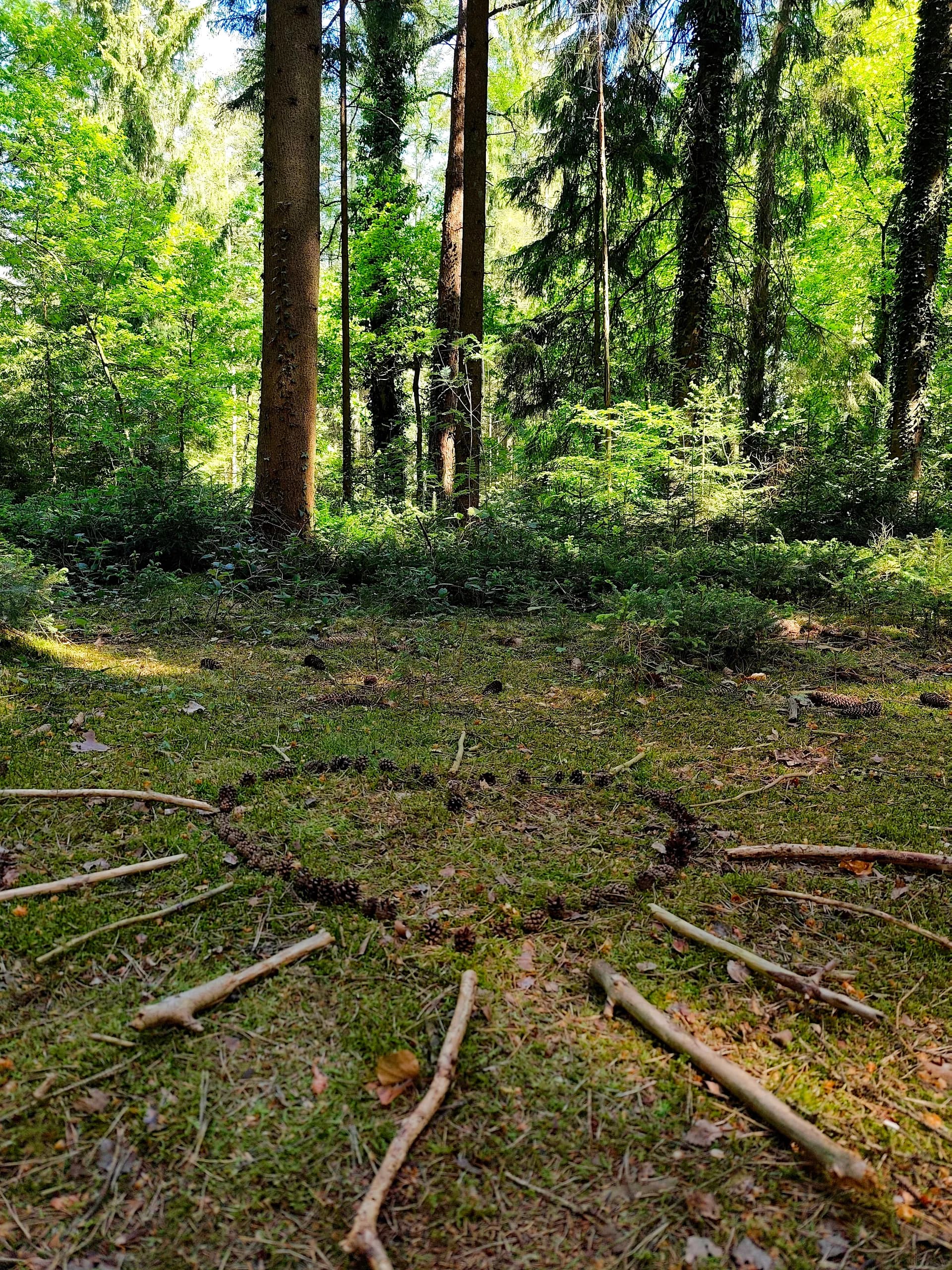 Bremen Pay: Frauenkreis im Wald