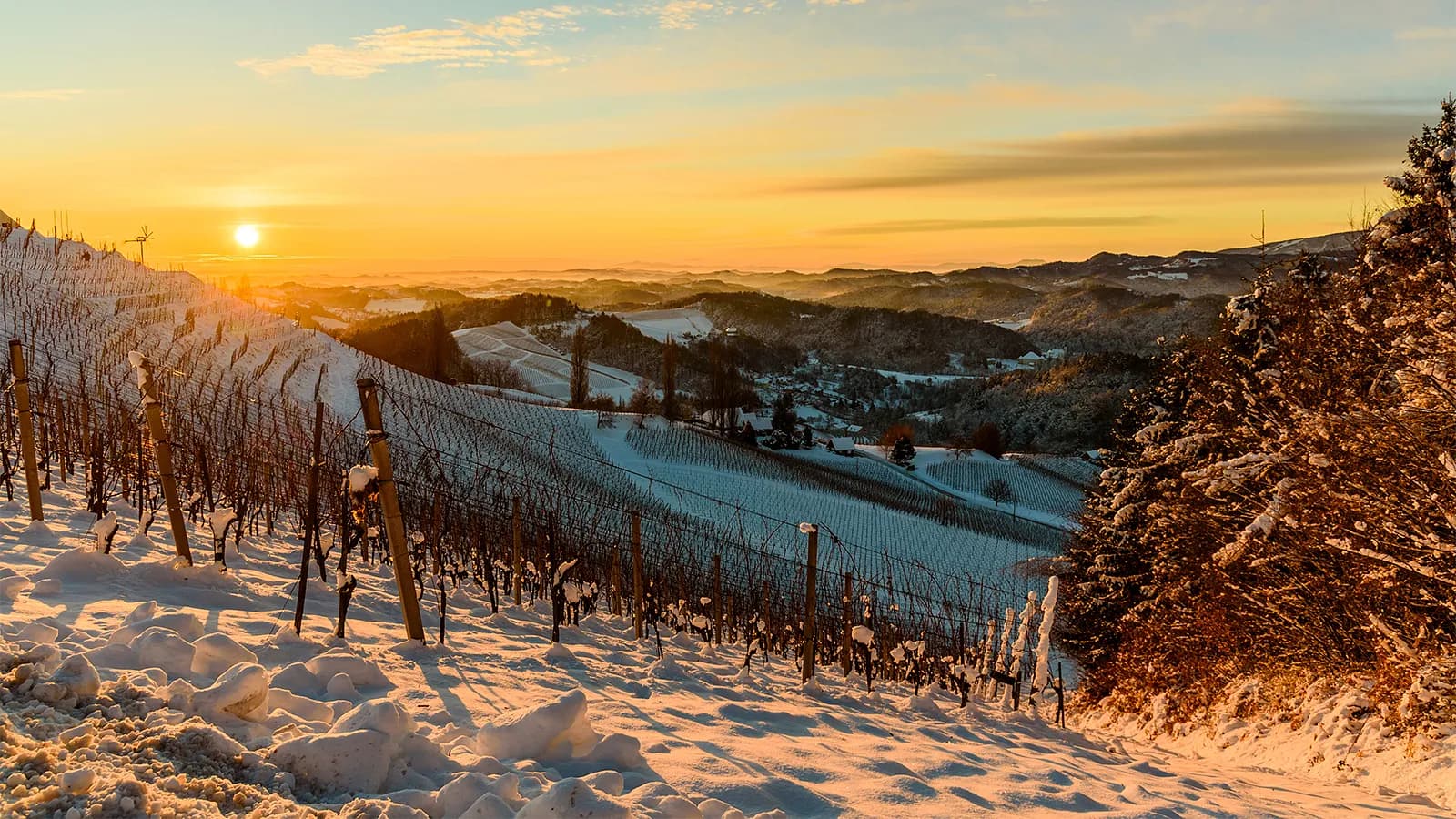 Weinprobe: Winterweine im Weinlager Speicher 1