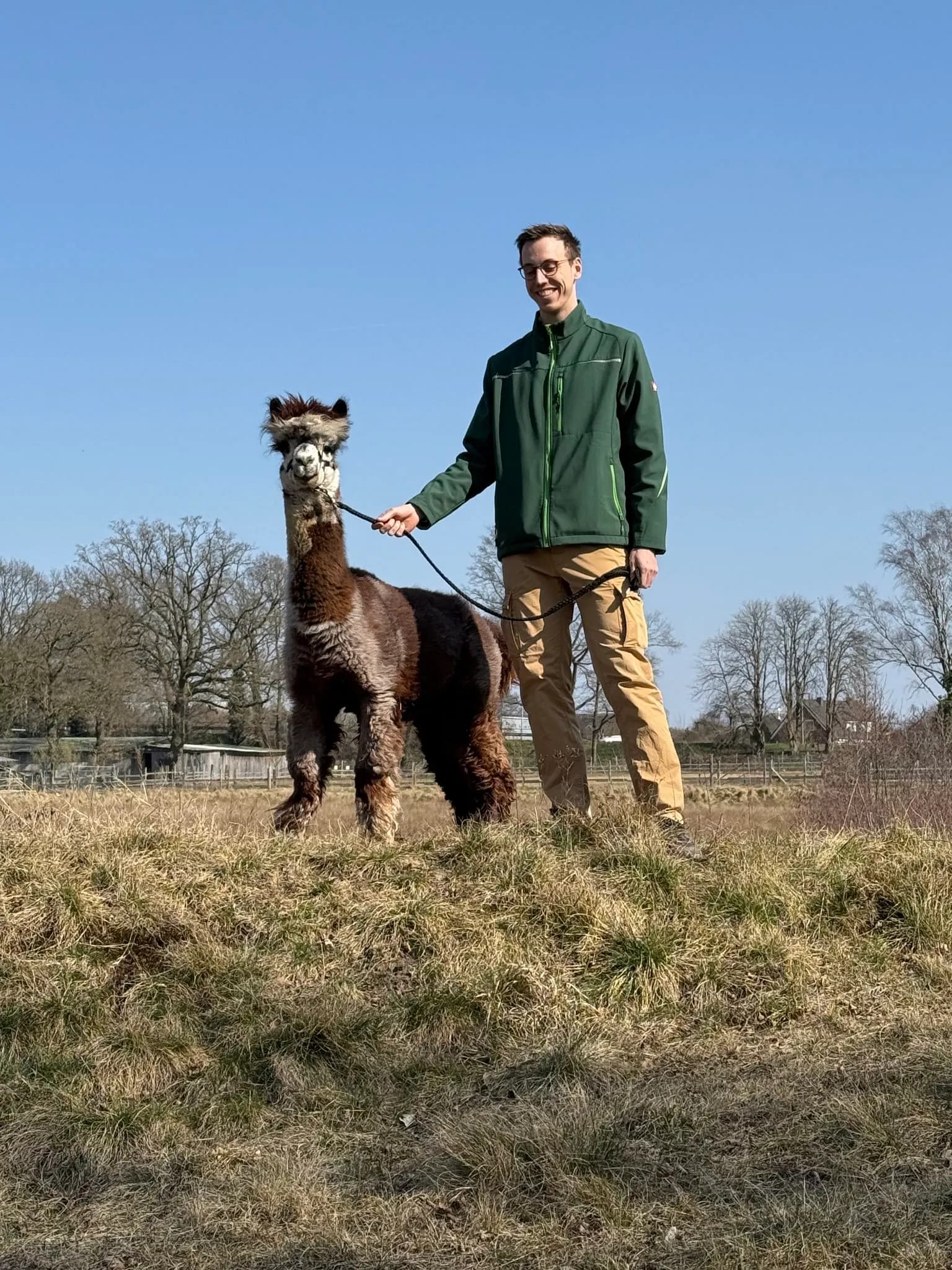 Bremen Pay: Alpaka Kurzstrecken Spaziergang